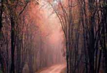 怎么才能成为股票高手:怎么在股票里加杠杆-多家车企相继披露8月销售数据 机构看好这些股